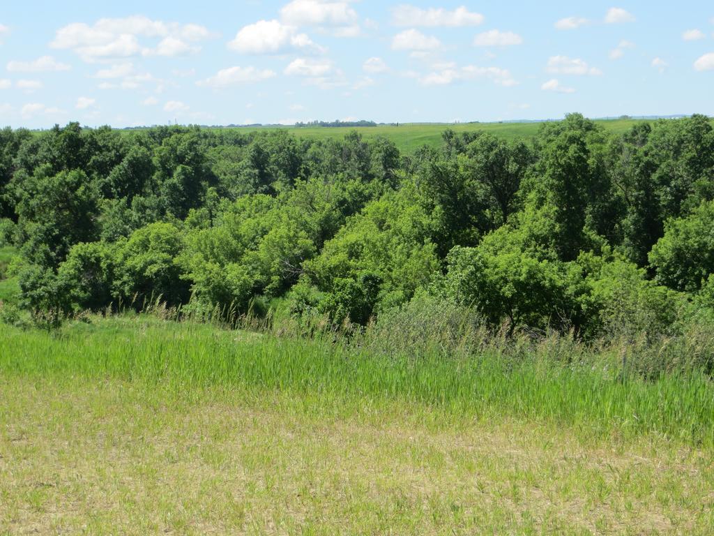 Orchard View Bed And Breakfast Moose Jaw Exteriér fotografie