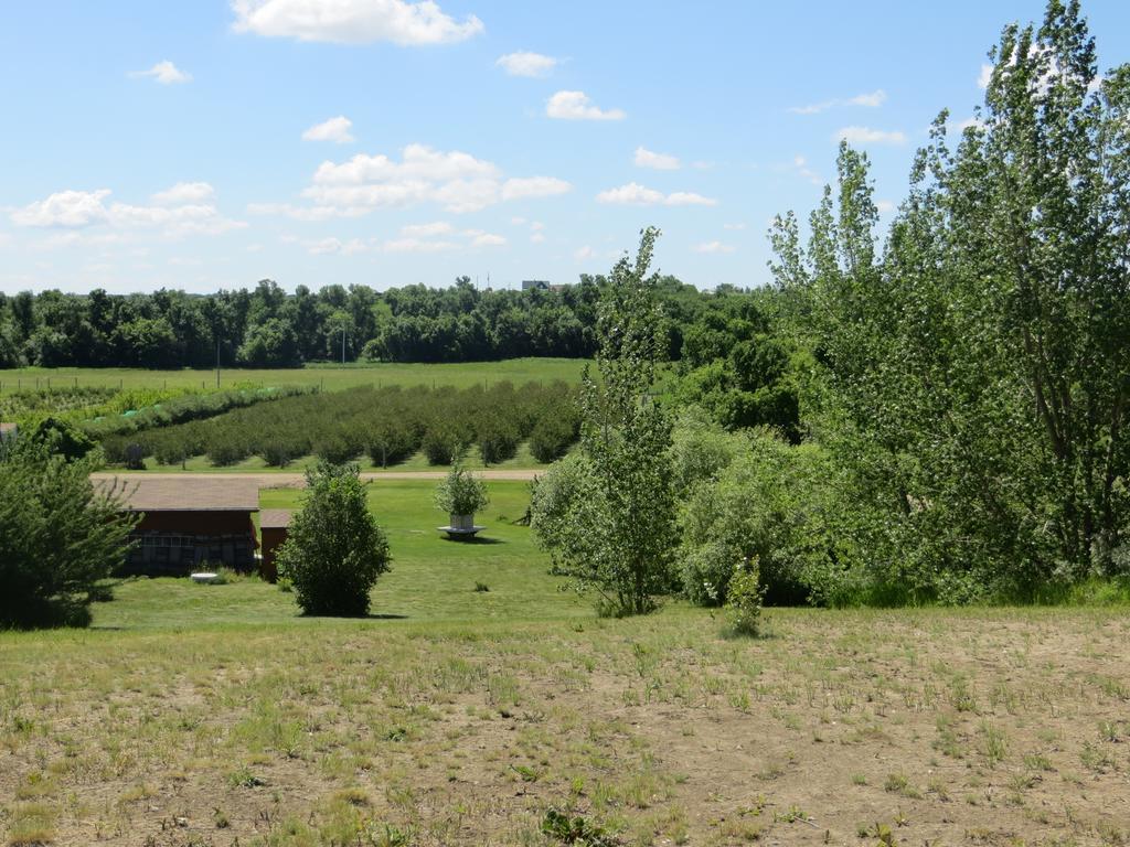 Orchard View Bed And Breakfast Moose Jaw Exteriér fotografie